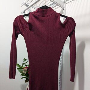 Turtleneck burgundy dress